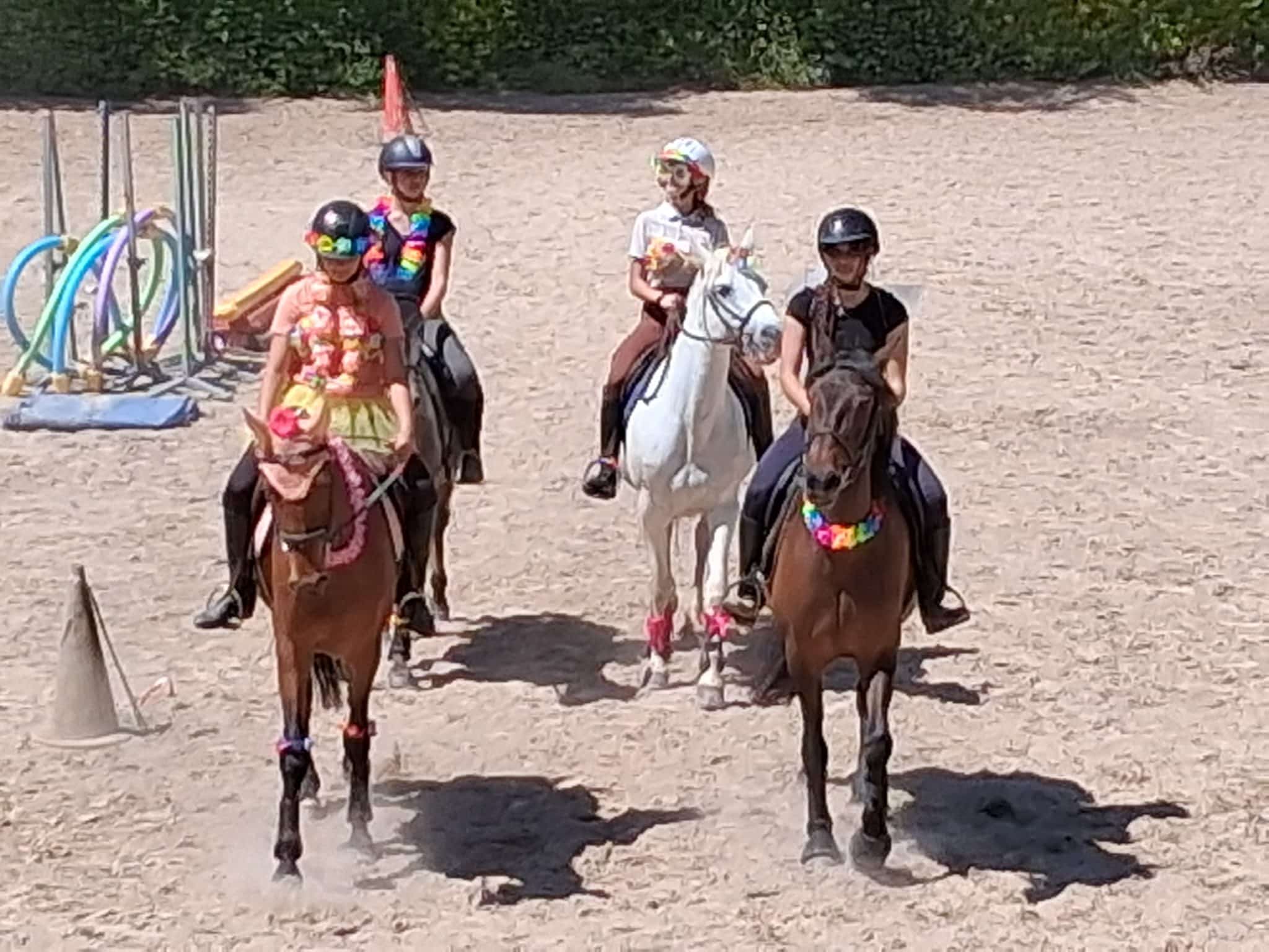 Lire la suite à propos de l’article Une décennie bien fêtée au Centre Equestre de Vors