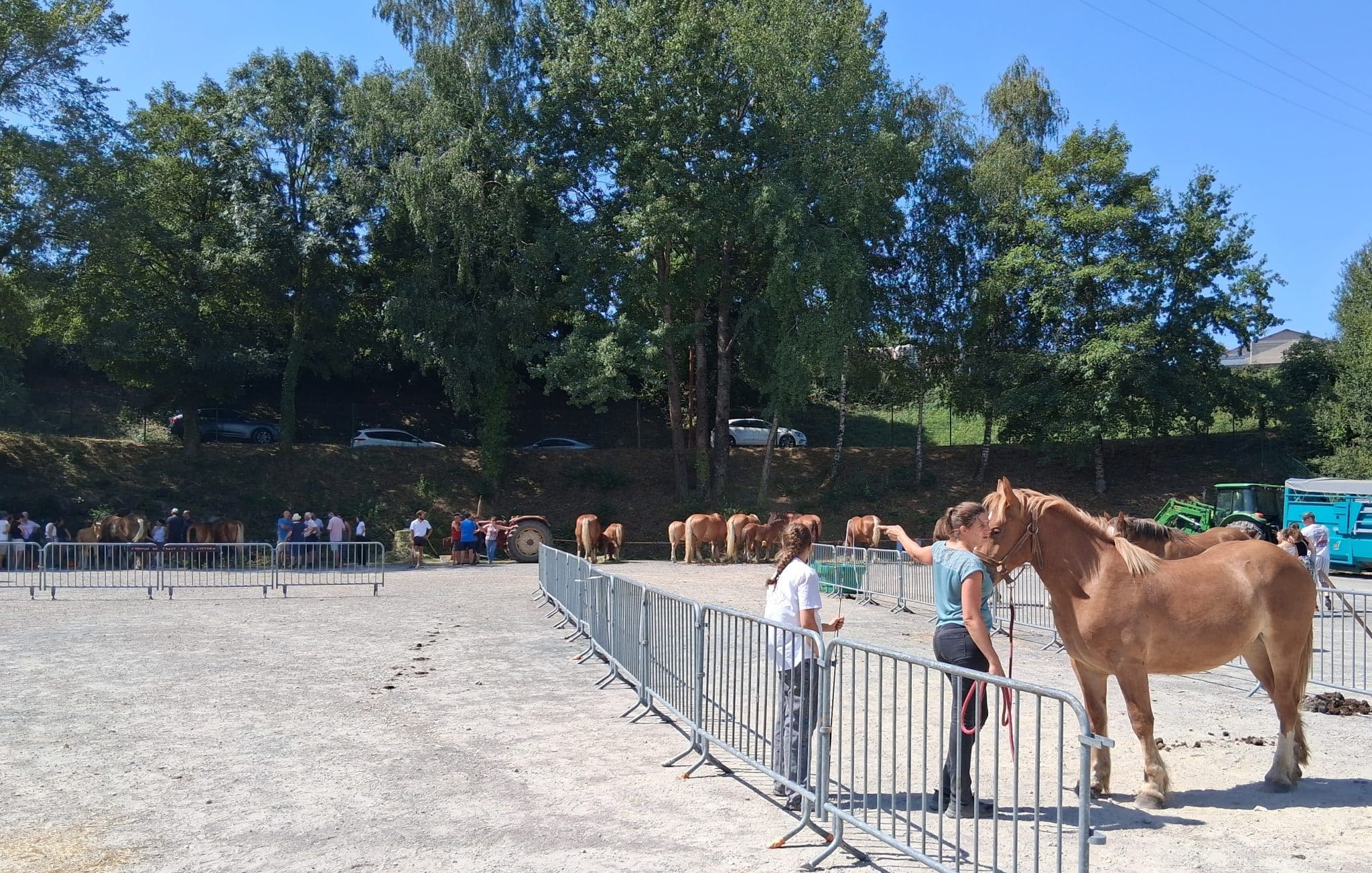 Lire la suite à propos de l’article Les chevaux comtois à l’honneur à Baraqueville